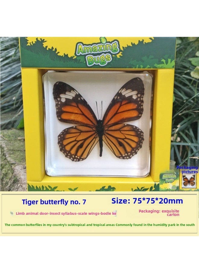 Insect Specimen Real Mono Fairy Amber Scarab Book Town Home Desk Decoration Mantis Spider Scorpion Factory-Color:Tiger Butterfly 7  - Image 1