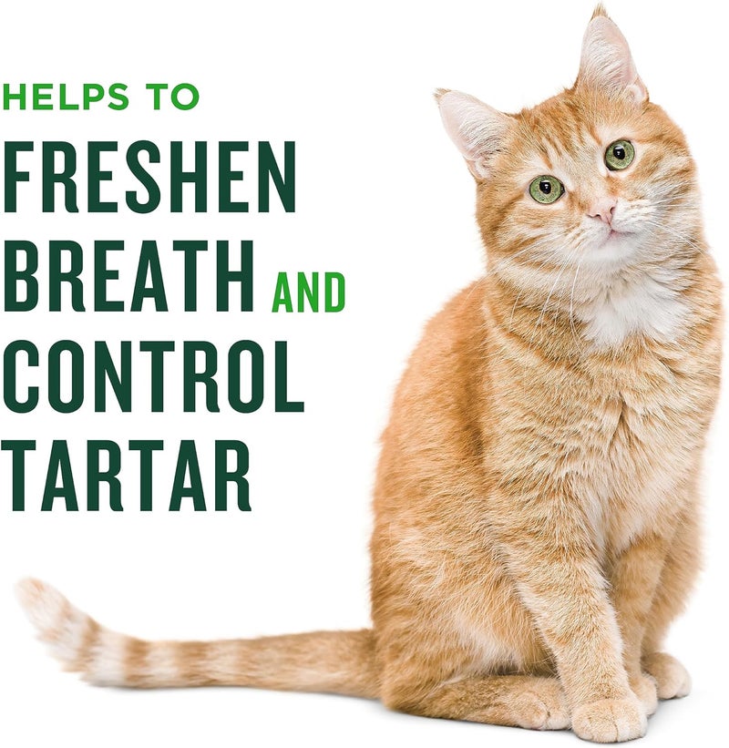 Minties Dental Treats for Cats, Salmon Flavored Treats for Cats, Freshens Breath and Controls Tartar, 2.5oz - Image 3