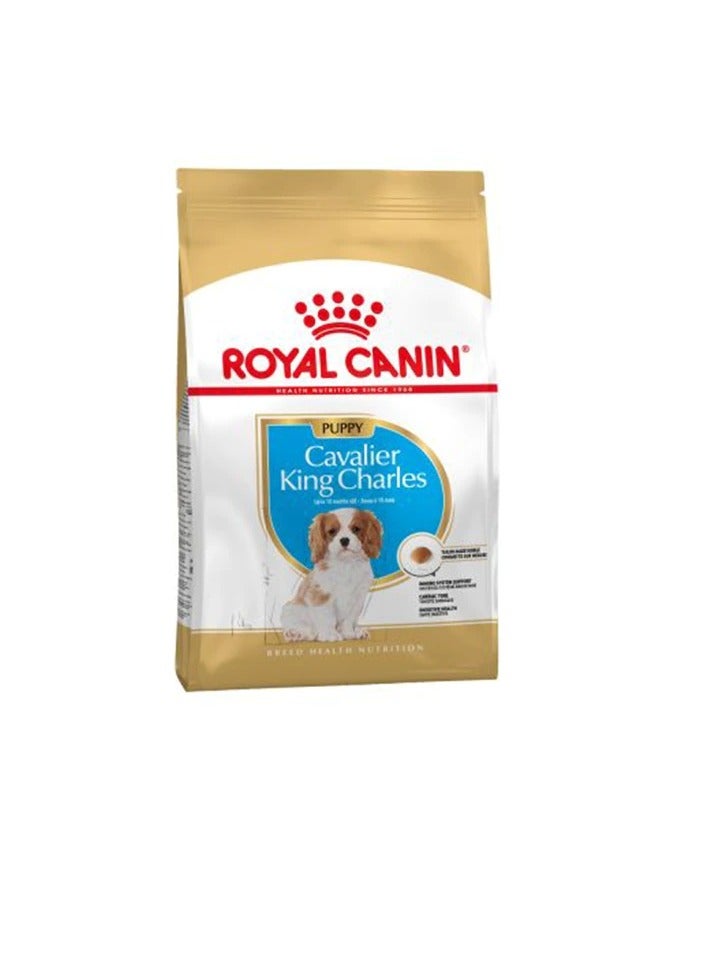 رويال كانين كافاليير كينج تشارلز سبانييل جرو طعام جاف - Image 1