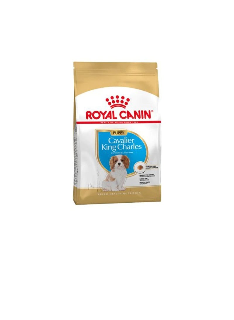 رويال كانين كافاليير كينج تشارلز سبانييل جرو طعام جاف - Image 3