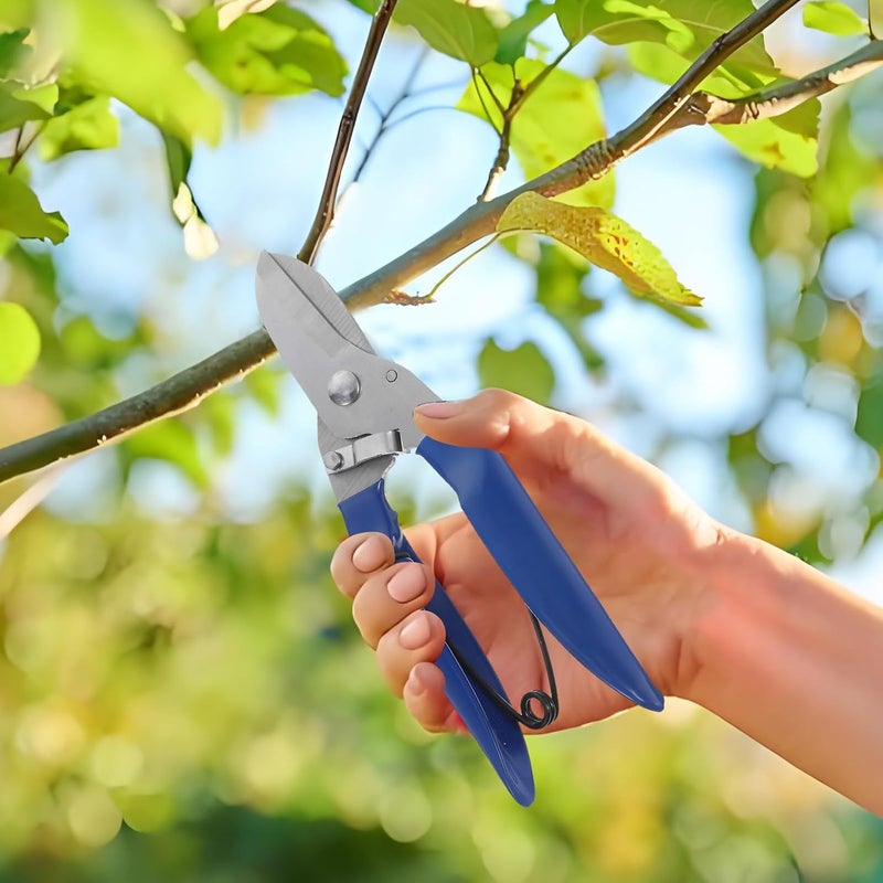 Milisten Heavy-duty Garden Pruning Shears with Blue Plastic Handle, Japanese Garden Shears for Bonsai, Tree Branches, and Flower Trimming, Handheld Gardening Clippers for Outdoor Plant Care - Image 5
