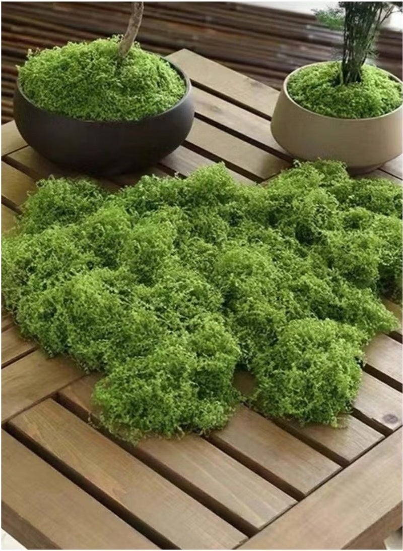 Bukela 300g Moss Grass Perfectly Simulates Artificial Moss Fake Green Grass for Centerpieces Home Kitchen Garden Decor Preserved Forest Moss - Image 3