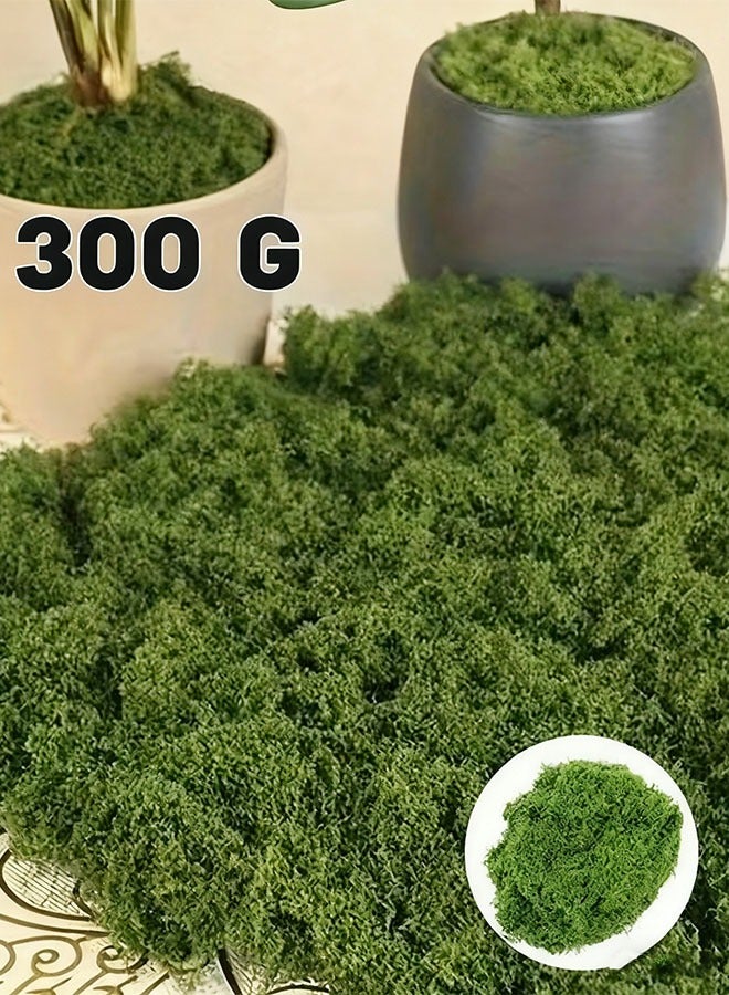 Bukela 300g Moss Grass Perfectly Simulates Artificial Moss Fake Green Grass for Centerpieces Home Kitchen Garden Decor Preserved Forest Moss - Image 1