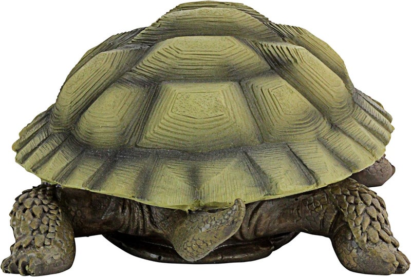 Design Toscano QM1887611 Gilbert The Box Turtle Garden Decor Animal Statue, 9 Inch, Full Color - Image 5
