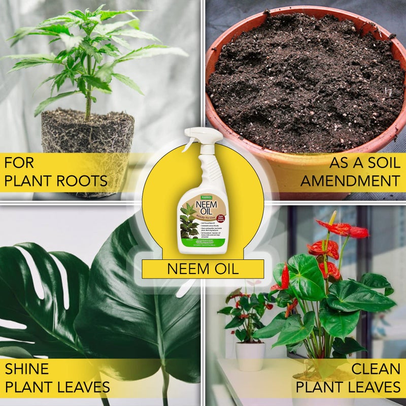 HARRIS Neem Oil Spray for Indoor and Outdoor Plants, Cold Pressed Ready to Use, 20oz - Image 4