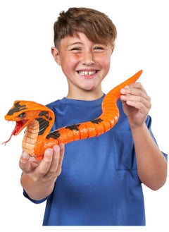 ROBO ALIVE Zuru Robo Alive King Cobra Series 1 Robotic Figure Slithers & Slides Like a Real King Cobra Snake! Assorted Colors  - Image 4