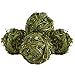 Hamiledyi Bunny Grass Toy 4 Pcs Natural Timothy Grass Small Animal Activity Play Chew Ball for Rabbits Hamster Guinea Pigs Gerbils - Image 3