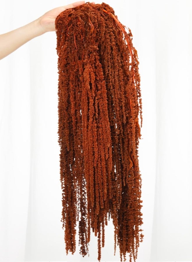 Jtoder مجموعة من 5 قطع من زهور الأمارانثوس المجففة المعلقة من Jtoder، زهور طبيعية محفوظة مثالية لأقواس الزفاف، والمعارض، وتعليقات الحائط، وتنسيقات الزهور، وديكور المنزل (بني، 24 بوصة). - Image 1