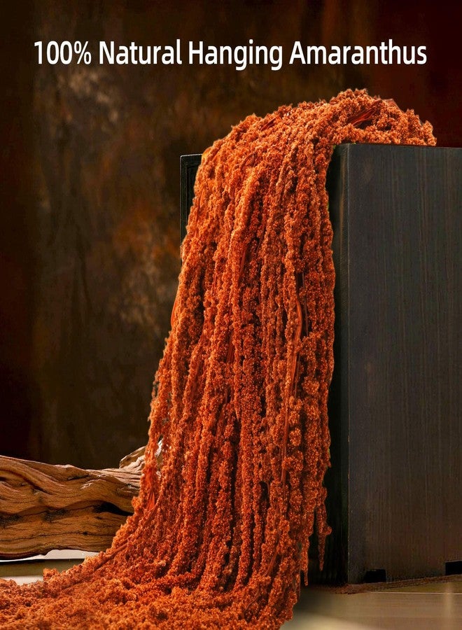 Jtoder مجموعة من 5 قطع من زهور الأمارانثوس المجففة المعلقة من Jtoder، زهور طبيعية محفوظة مثالية لأقواس الزفاف، والمعارض، وتعليقات الحائط، وتنسيقات الزهور، وديكور المنزل (بني، 24 بوصة). - Image 2