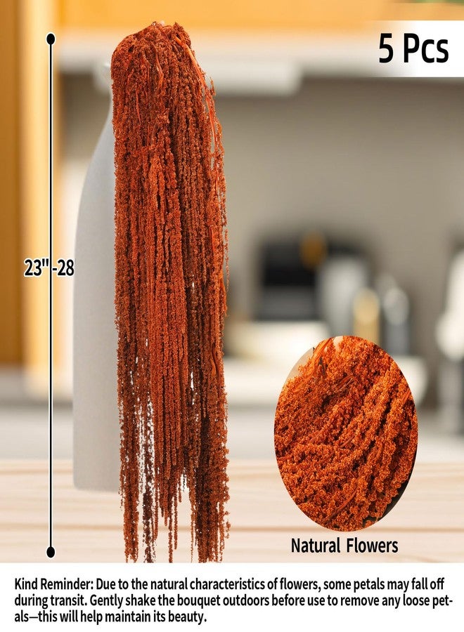 Jtoder مجموعة من 5 قطع من زهور الأمارانثوس المجففة المعلقة من Jtoder، زهور طبيعية محفوظة مثالية لأقواس الزفاف، والمعارض، وتعليقات الحائط، وتنسيقات الزهور، وديكور المنزل (بني، 24 بوصة). - Image 3