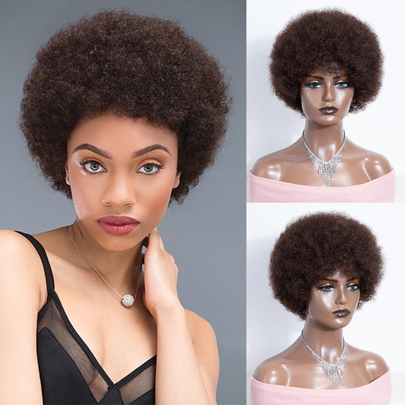 JOEDIR HAIR Short Afro Human Hair Wigs for Black Women Dark Brown Afro Curly Wig Soft and Bouncy Glueless Wig 130 Density Color 4