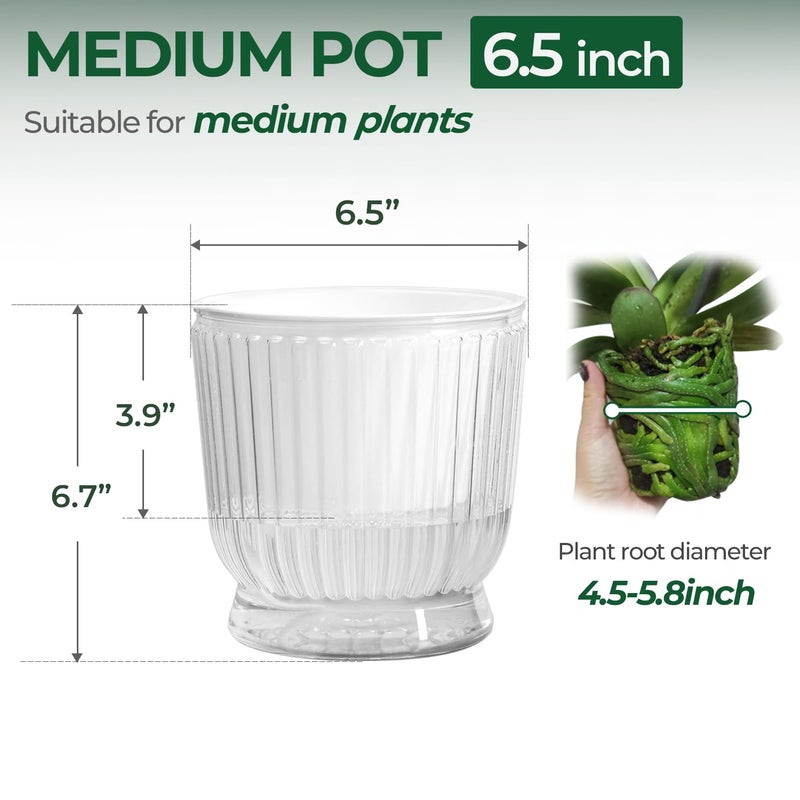 T4U 6 Inch Self Watering Pots for Indoor Plants, 4 Pack Self Watering Planter, Self Watering Pot with Reservoir, Clear Self Watering Pots for Indoor Plants, African Violets (4 Pack, 6", Clear) - Image 2