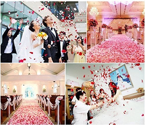 Neo LOONS 1000 Pcs Artificial Silk Rose Petals Decoration Wedding Party Color Light Pink & White - Image 4