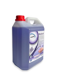 Lavender Floor Cleaner - 5.00 Liters (Pack of 1) - pzsku/ZB7C0797E5953B91A0A79Z/45/_/1714368192/630d883b-fa56-40b8-adec-eedb0b2a56f0