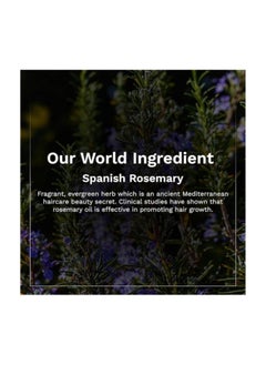 PILGRIM Spanish Rosemary And Biotin Anti Hairfall Conditioner for Reducing Hair Loss And Breakage  Upto 95% stronger hairs  Suitable for all hair types  For Men And Women 200ml  - Image 5