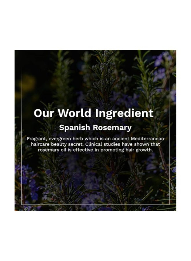 PILGRIM Spanish Rosemary And Biotin Anti Hairfall Conditioner for Reducing Hair Loss And Breakage  Upto 95% stronger hairs  Suitable for all hair types  For Men And Women 200ml  - Image 5