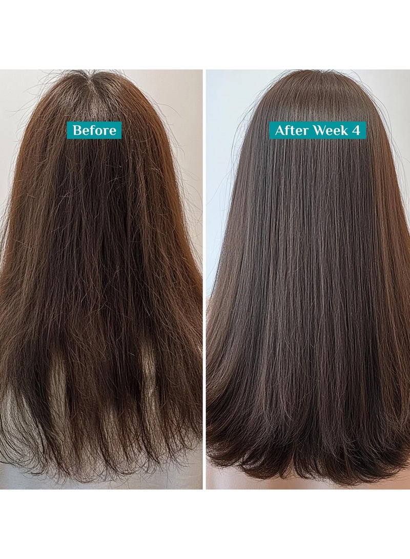PILGRIM Spanish Rosemary And Biotin Anti Hairfall Conditioner for Reducing Hair Loss And Breakage  Upto 95% stronger hairs  Suitable for all hair types  For Men And Women 200ml - Image 4