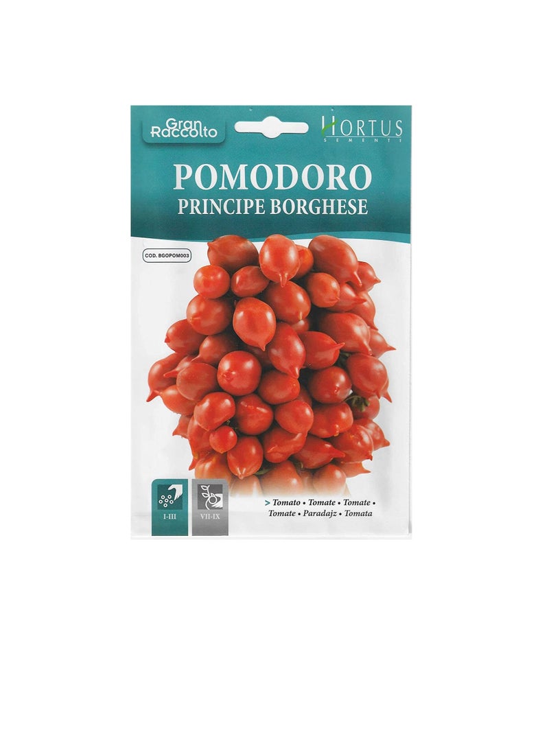 Generic Hortus Small Round Tomato (Pomodoro Principe Borghese) Premium Quality Seeds (Made in Italy) by Hortus Sementi  - Image 2