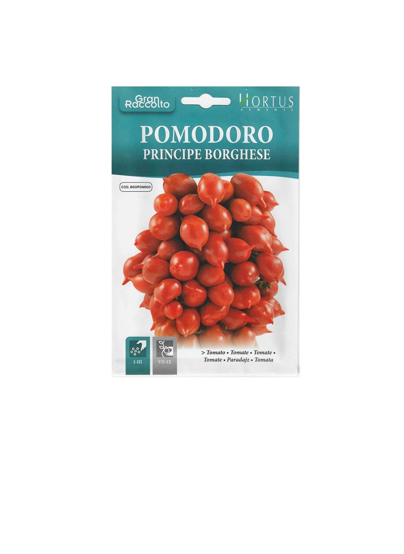 Generic Hortus Small Round Tomato (Pomodoro Principe Borghese) Premium Quality Seeds (Made in Italy) by Hortus Sementi  - Image 1