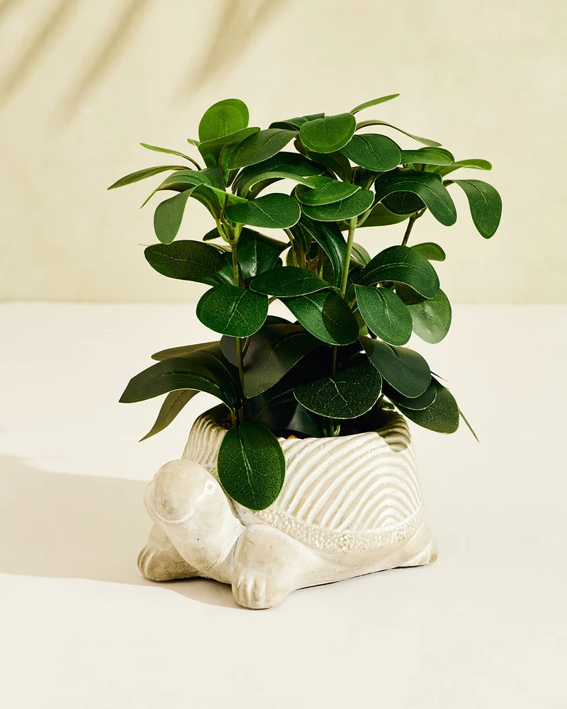 REDTAG Cream Artificial Plants in Tortoise Planter