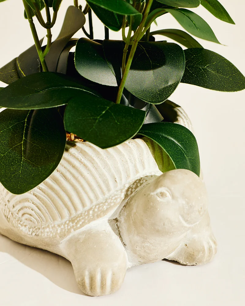 REDTAG Cream Artificial Plants in Tortoise Planter