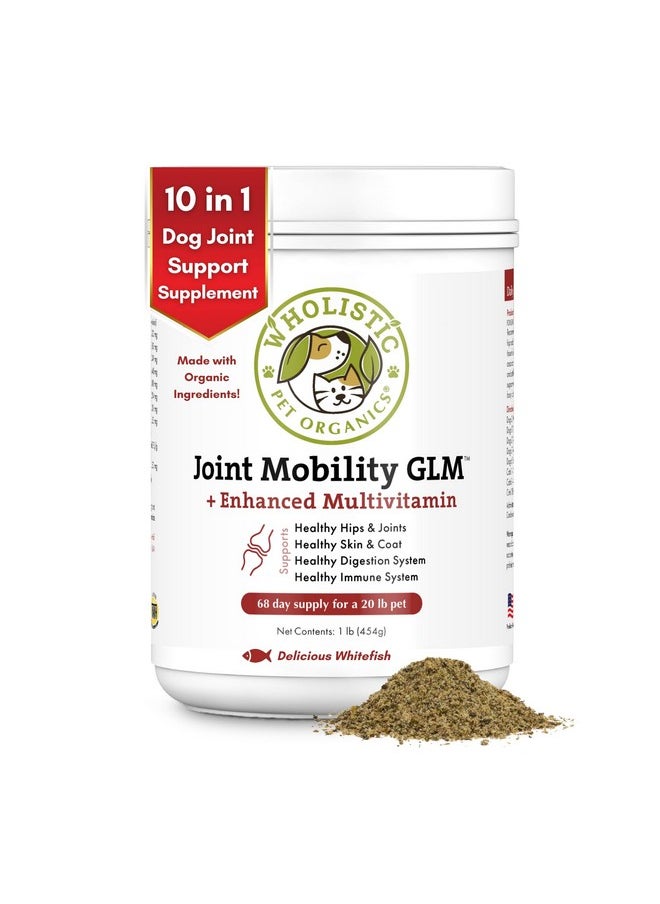 Wholistic Pet Organics : Joint Support Supplement For Dogs  Green Lipped Mussel (1Lb) With Glucosamine & Chondroitin  Dog Hip & Joint Pain Relief  Natural Arthritis Relief & LongTerm Joint Health  - Image 1