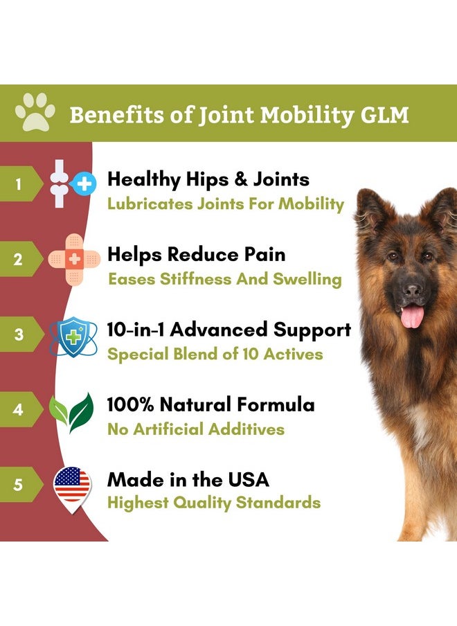 Wholistic Pet Organics : Joint Support Supplement For Dogs  Green Lipped Mussel (1Lb) With Glucosamine & Chondroitin  Dog Hip & Joint Pain Relief  Natural Arthritis Relief & LongTerm Joint Health  - Image 2