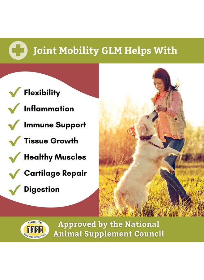 Wholistic Pet Organics : Joint Support Supplement For Dogs  Green Lipped Mussel (1Lb) With Glucosamine & Chondroitin  Dog Hip & Joint Pain Relief  Natural Arthritis Relief & LongTerm Joint Health  - Image 4