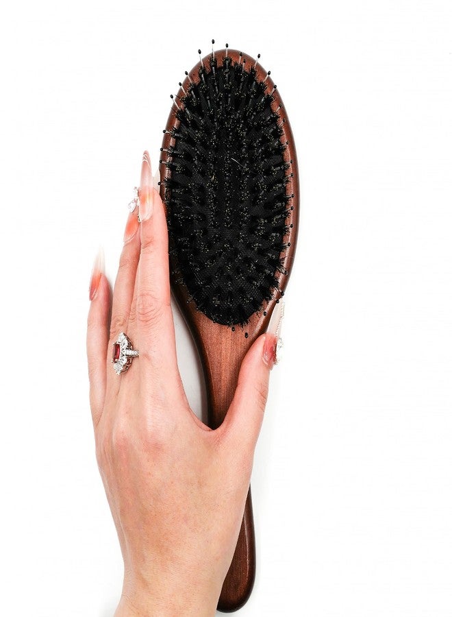 Menesia Boar & Nylon Bristle Hair Brush for Women, Brown Natural No Shampoo Hair Brush for Dry & Fine Hair All Types - Image 4