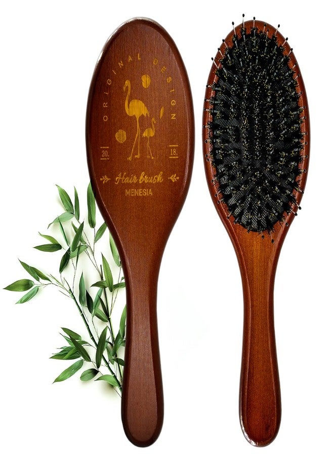 Menesia Boar & Nylon Bristle Hair Brush for Women, Brown Natural No Shampoo Hair Brush for Dry & Fine Hair All Types - Image 1
