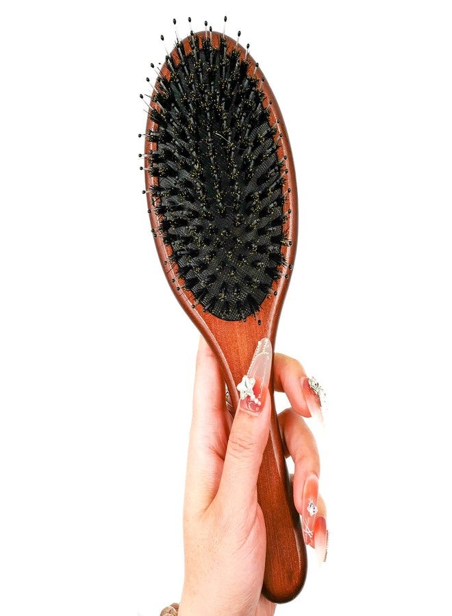 Menesia Boar & Nylon Bristle Hair Brush for Women, Brown Natural No Shampoo Hair Brush for Dry & Fine Hair All Types - Image 3