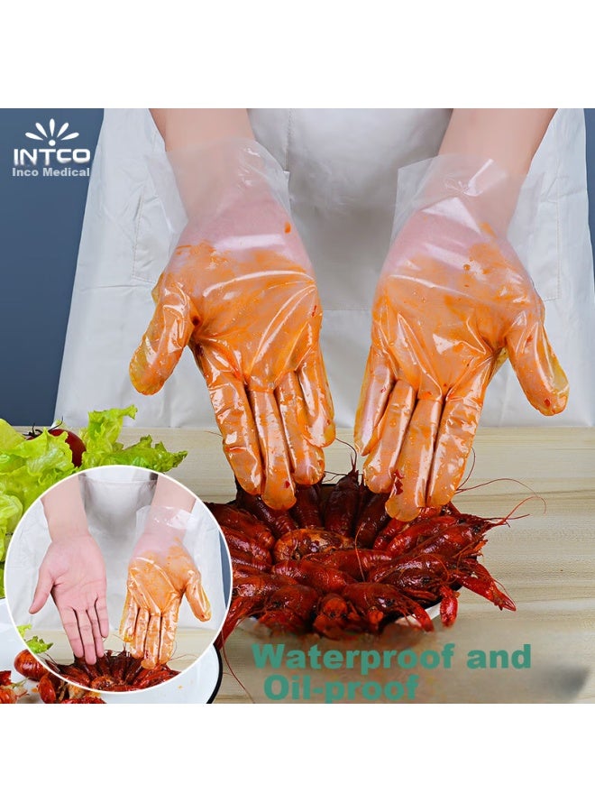 Intco Disposable Gloves, Food-grade Gloves, Household And Kitchen Cleaning, Catering, Crayfish Pe Gloves, 200 Pieces, Size S - Image 3