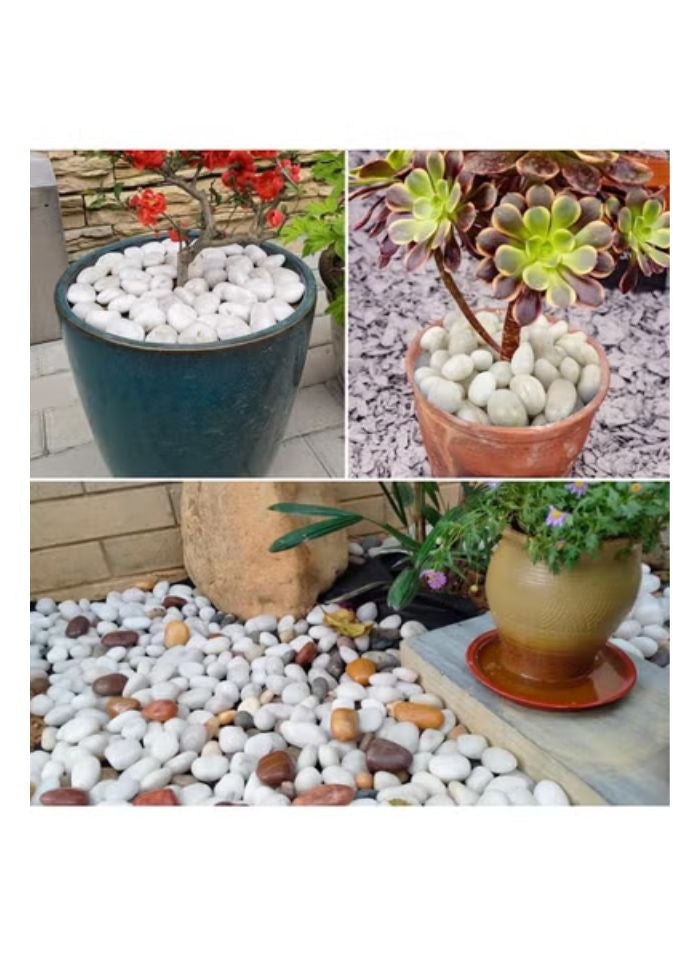 vsell24 5KG 5-8cm Extra Large White River Rocks for Landscaping, Natural Pebbles for Indoor Plants, High Polished Decorative Stones Garden DIY Vase Filler Fish Tank Aquariums - Image 3