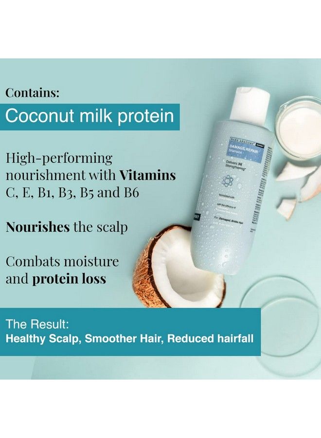 BARE ANATOMY Damage Repair Hair Shampoo ; Provides 3X Strengthening Powered By Ceramide A2 & Coconut Milk Protein ; For Damaged Dry & Frizzy Hair ; Sulphate & Paraben Free ; For Women & Men ; 250Ml  - Image 5