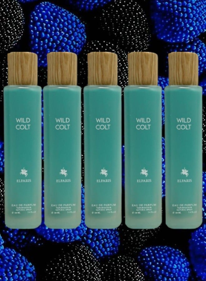 وايلد 5 قطع عطر وايلد كولت الفارس 100 مل - Image 1