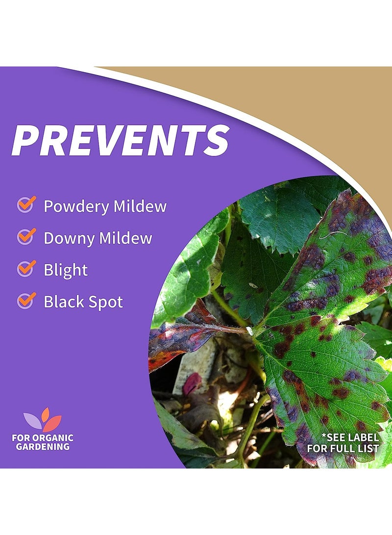Bonide Captain Jack Copper Fungicide 16 oz Concentrated Plant Disease Control Solution for Organic Gardening  - Image 3
