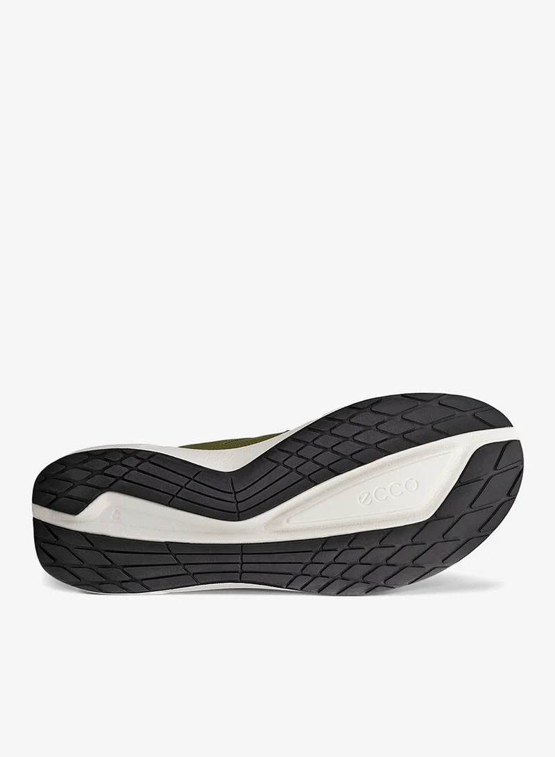 إيكو إيكو بيوم ٢.٢ إم بلوط