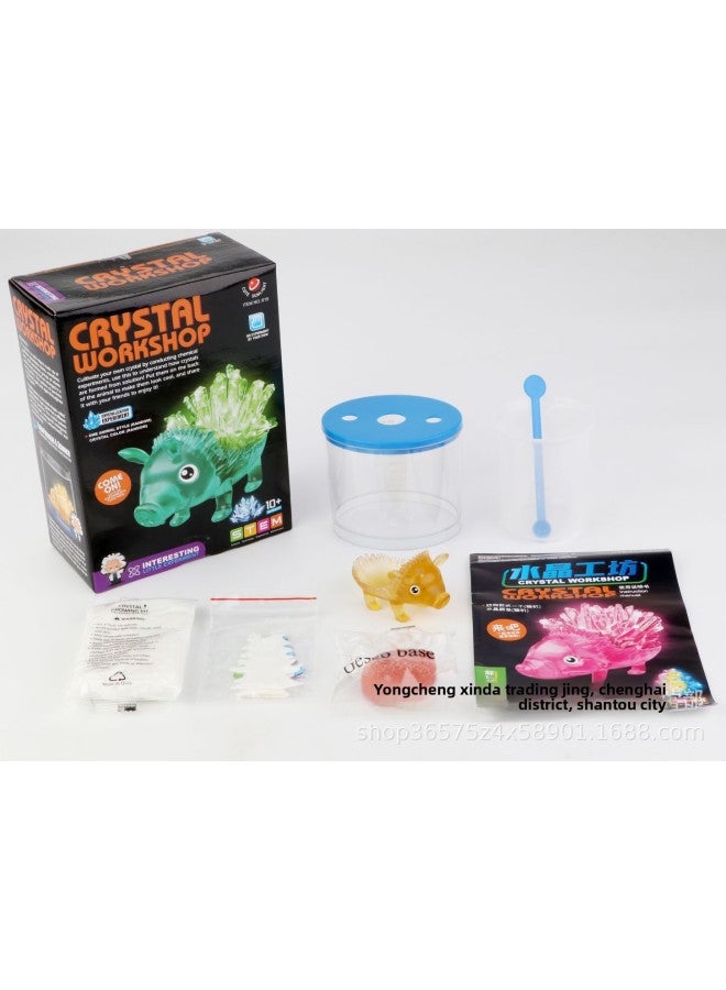 Toy Crystal Experiment Suit Diy Planting Crystal Crystal Culture Material Handmade Technology Production STE-Specifications:619 Dinosaur/Porcupine Random Crystal Workshop  - Image 1