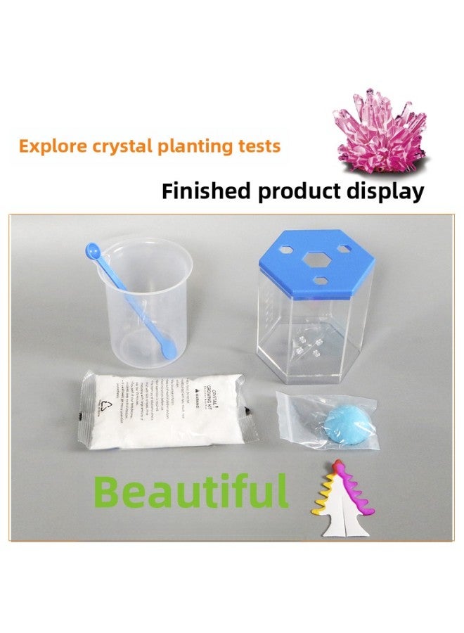 Toy Crystal Experiment Suit Diy Planting Crystal Crystal Culture Material Handmade Technology Production STE-Specifications:619 Dinosaur/Porcupine Random Crystal Workshop  - Image 5