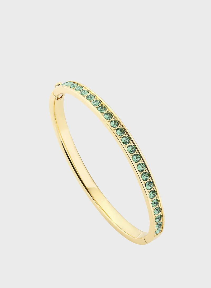 Ted Baker Clemara Hinge Crystal Bracelet