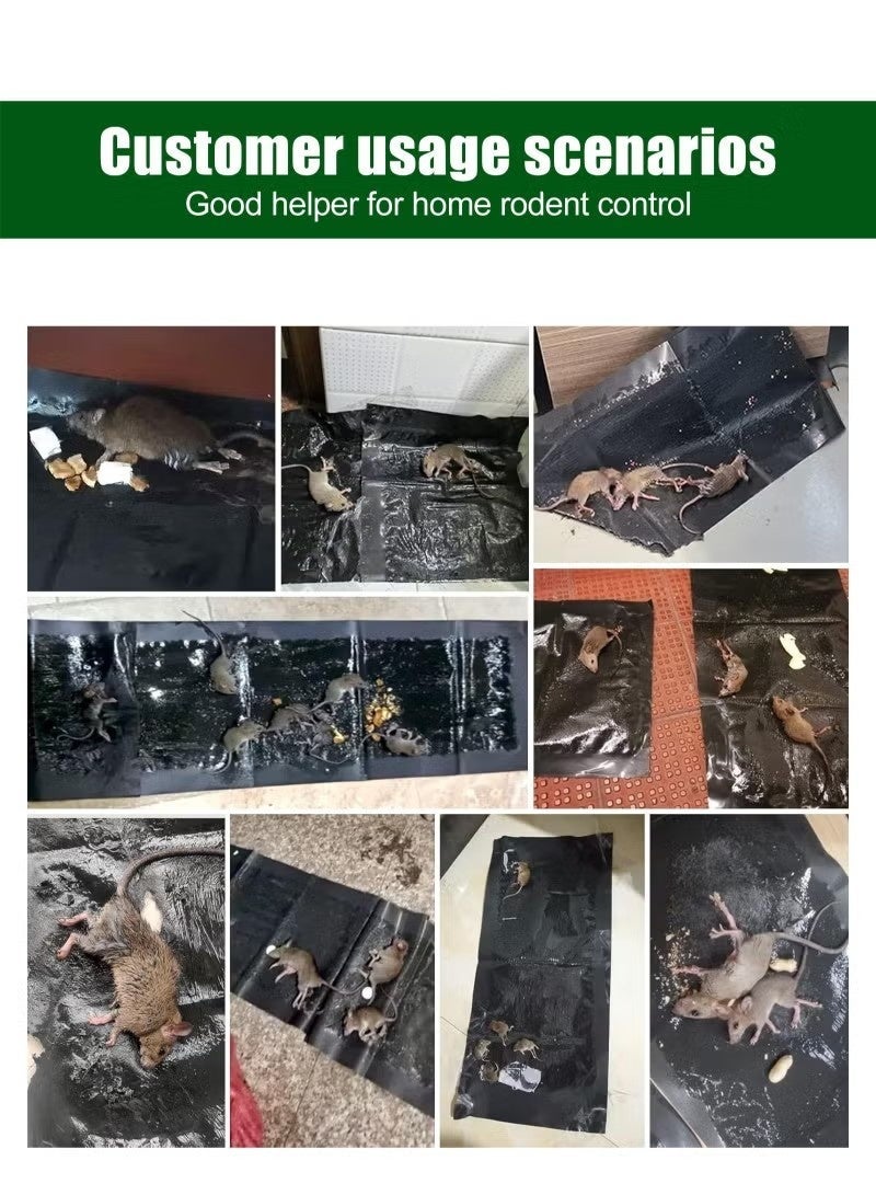 5 Pack Sticky Mouse Trap, Super Large 120*28cm Glue Traps for Mice and Rats Traps Indoor for Home, Rodent Snakes Spiders Roaches - Image 5