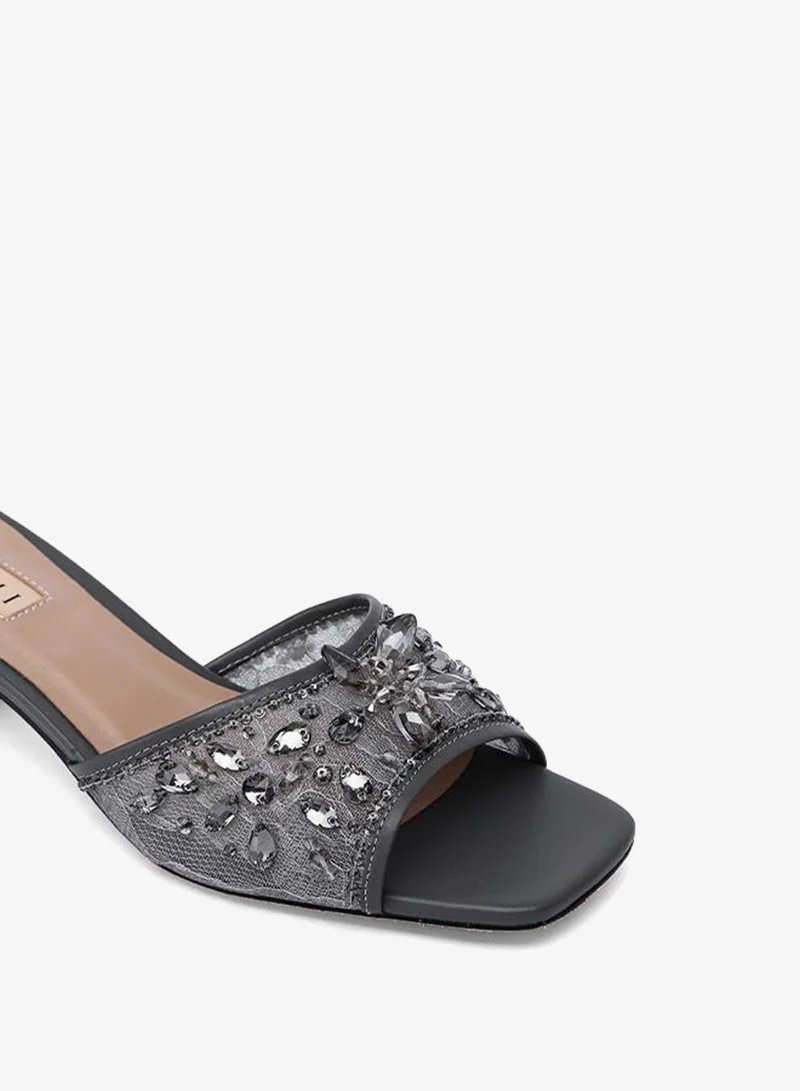 Nicoli  KIRK for Women | Best Price UAE