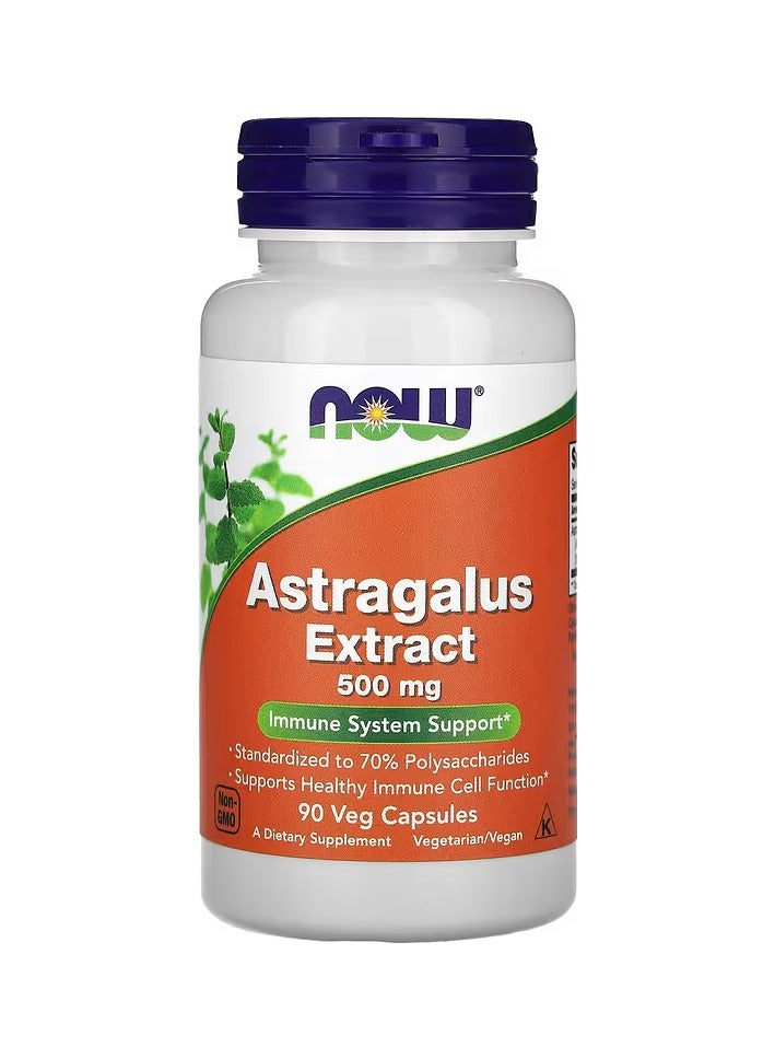 now Astragalus Extract, 500 mg, 90 Veg Capsules - Image 1