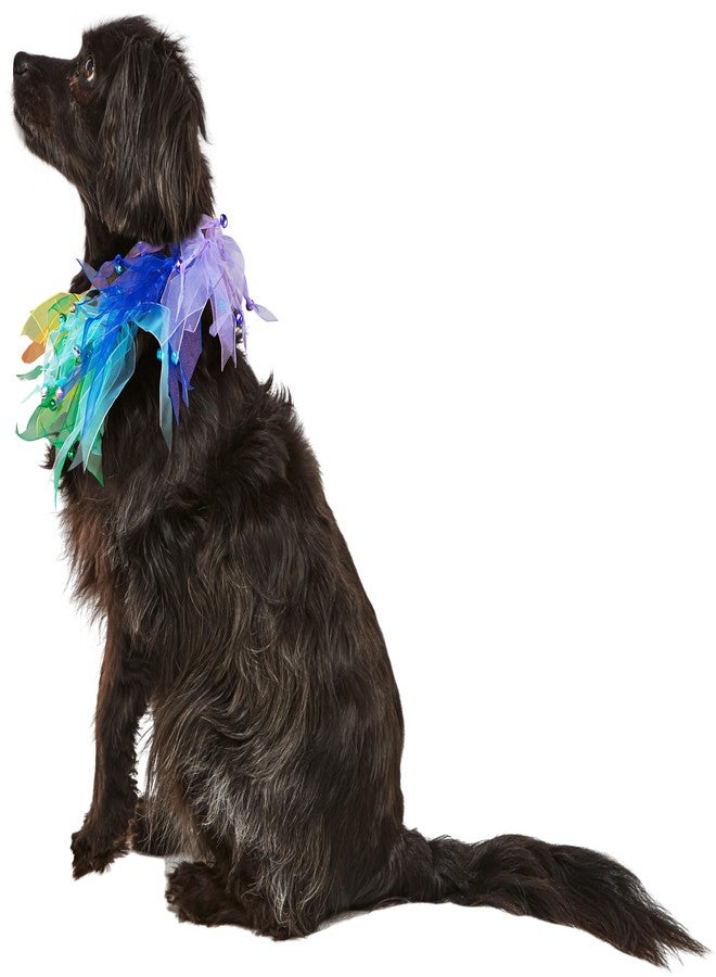 Rubies Decorative Rainbow Pet Collar for Dogs or Cats, M/L - Image 5