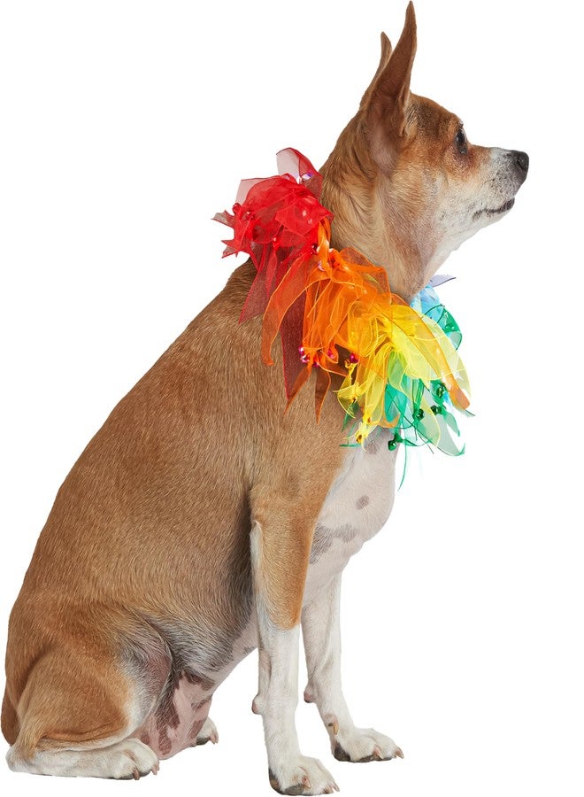Rubies Decorative Rainbow Pet Collar for Dogs or Cats, M/L - Image 4
