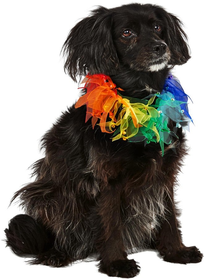 Rubies Decorative Rainbow Pet Collar for Dogs or Cats, M/L - Image 1