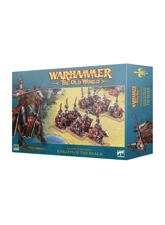 Warhammer Games Workshop The Old World: Kingdom of Bretonnia - Knights of The Realm/Knights Errant, Black