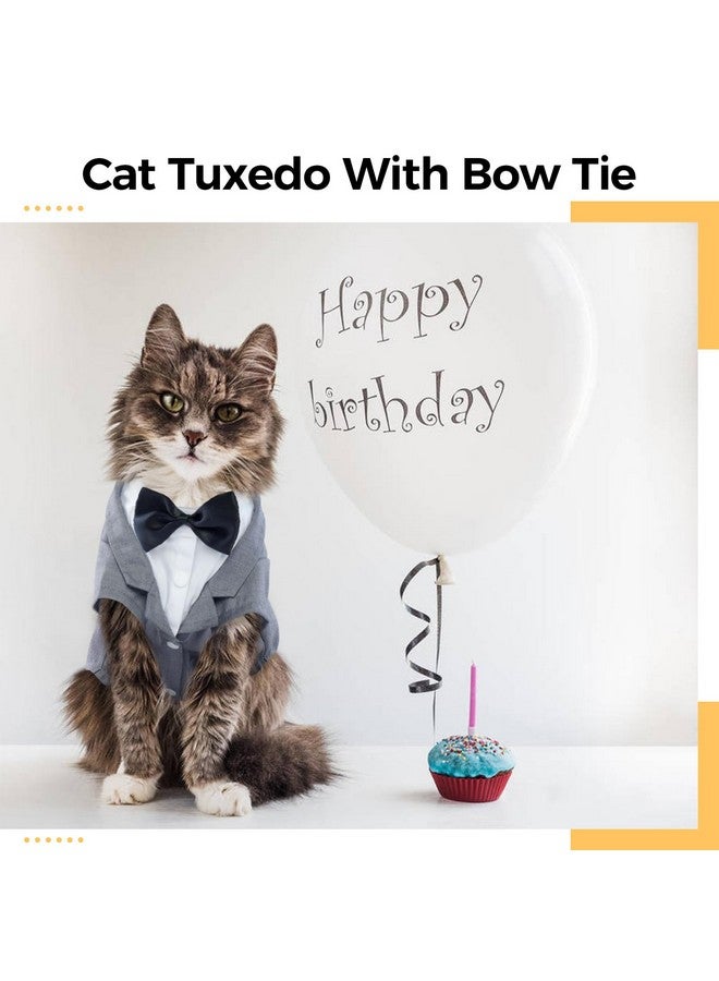 دينتران بدلة سهرة قطط، زي قط أبو الهول، بدلة رسمية مع ربطة عنق على شكل فيونكة، قميص قطط أنيق، ملابس أنيقة، زي قطط صغير، بدلة زفاف رسمية للقطط فقط - Image 2