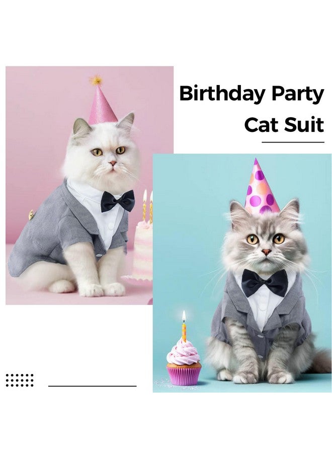 دينتران بدلة سهرة قطط، زي قط أبو الهول، بدلة رسمية مع ربطة عنق على شكل فيونكة، قميص قطط أنيق، ملابس أنيقة، زي قطط صغير، بدلة زفاف رسمية للقطط فقط - Image 5