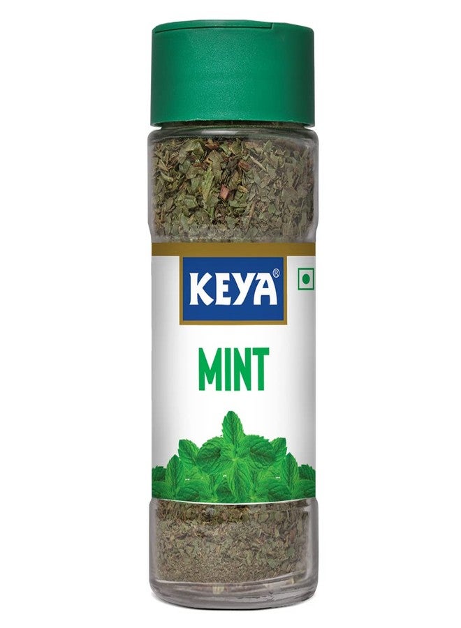Keya Mint | Seasoning for Meats, Soups, Sauces, Vegetables, and Beverages | Rich in Antioxidants & Supports Digestion | No Artificial Flavours or Colours | 7g | Pack 3 - Image 2